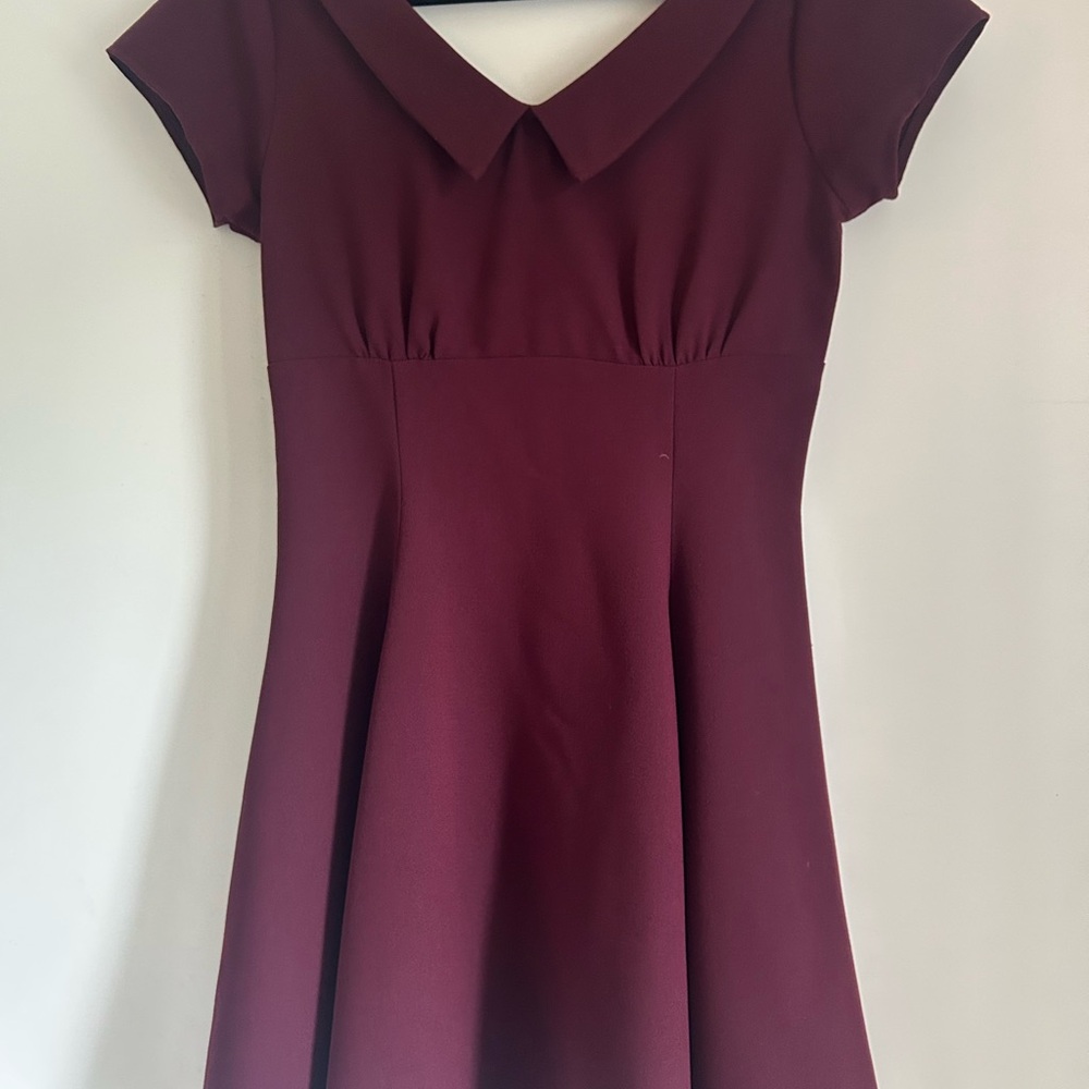 Burgundy Dress